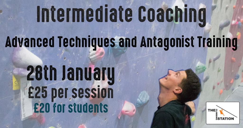 Advanced Techniques and Antagonist Training The Climbing Station